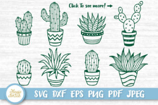 Cactus and Succulent Embroidery Review