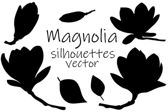 Magnolia Silhouettes Vector Illustration for Graphics and Crafts